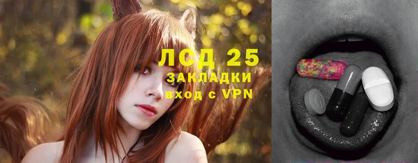 стафф Арсеньев