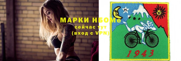 стафф Арсеньев