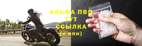 сатива Аркадак