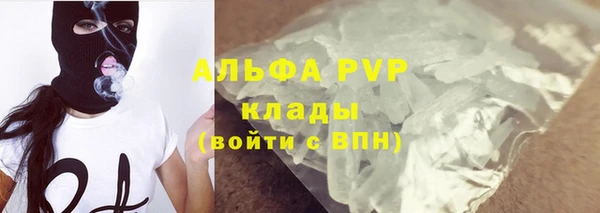 сатива Аркадак