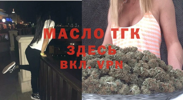 сатива Аркадак