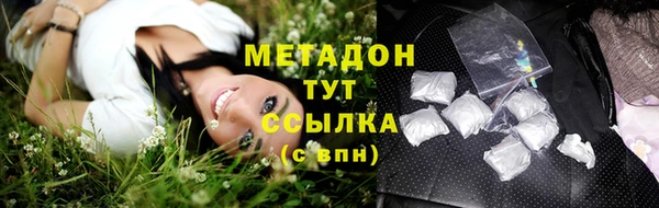 сатива Аркадак