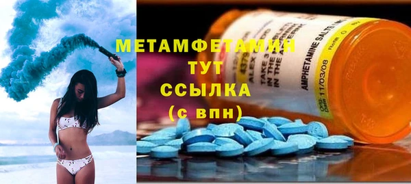 сатива Аркадак